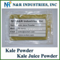 Pulverform Kale Pulver 80 bis 200mesh und Dampf Sterilisation und Versorgung andere pflanzliche Pulver
